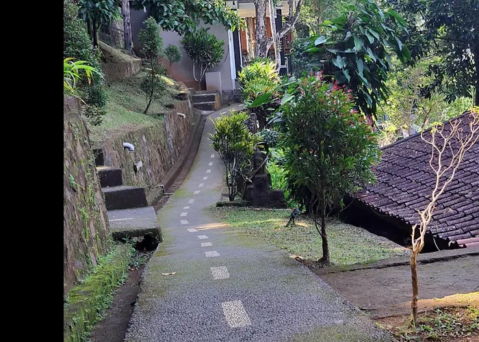 Bali Rahayu *