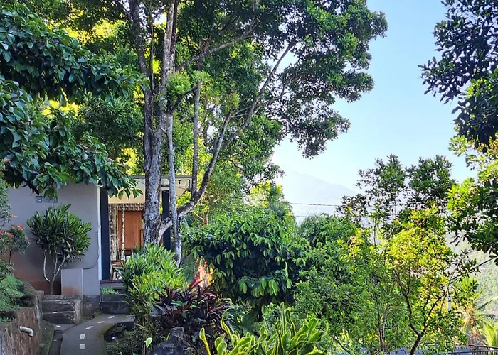 Bali Rahayu