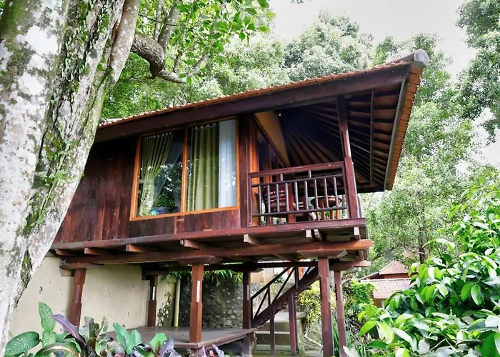 Bali Rahayu Accommodatie bij particulieren *