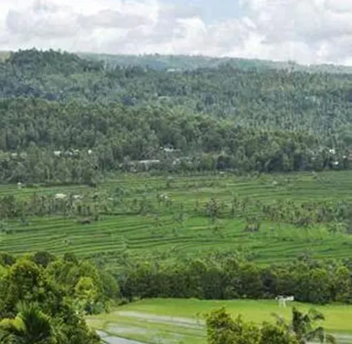Bali Rahayu